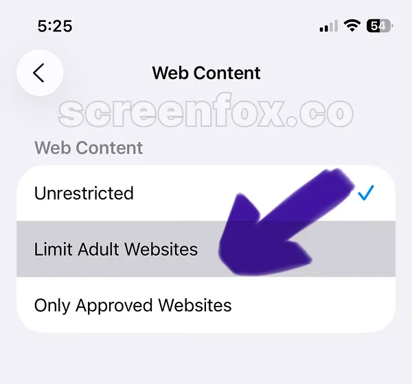 Web Content filter options displaying Unrestricted, Limit Adult Websites, and Only Approved Websites