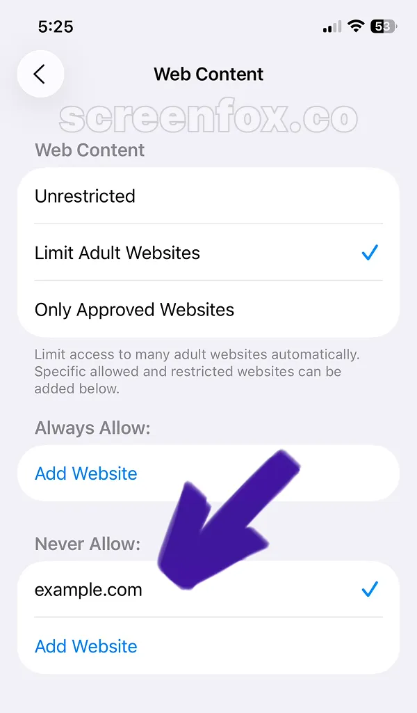 Web Content settings showing example.com in Always Allow list and Never Allow website section