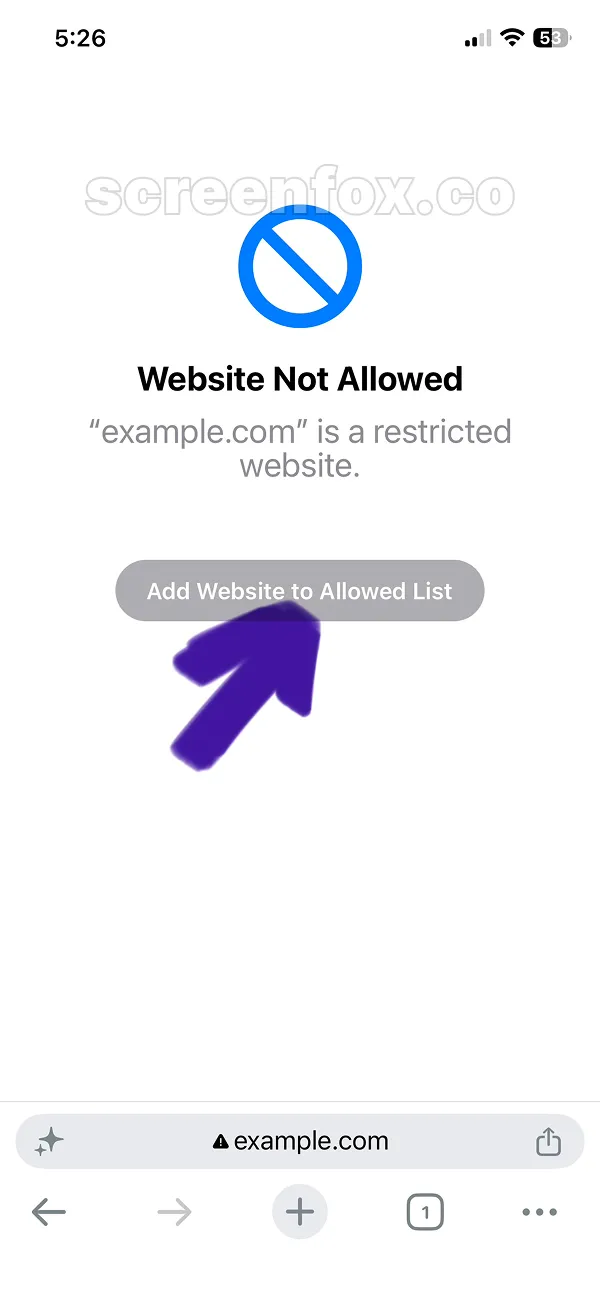 Blocked website error page for example.com with browser navigation bar and URL display