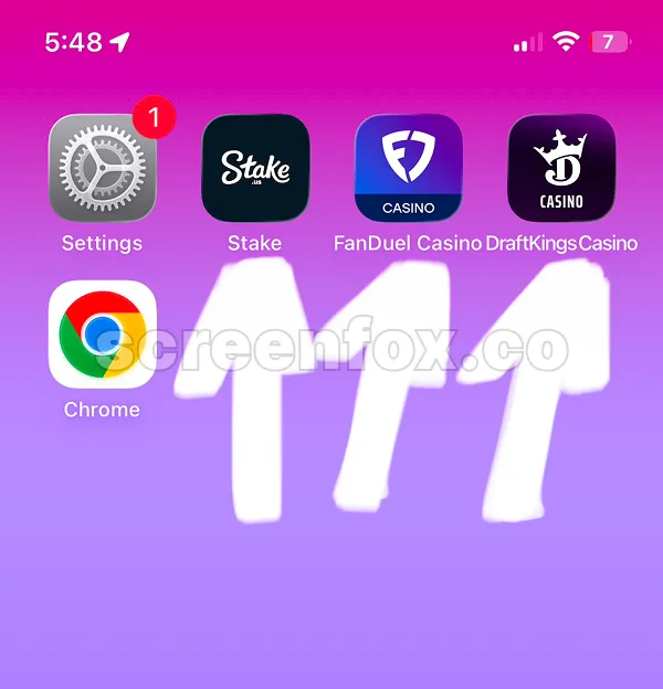 iPhone home screen displaying Settings, Stake, FanDuel Casino and DraftKings Casino apps
