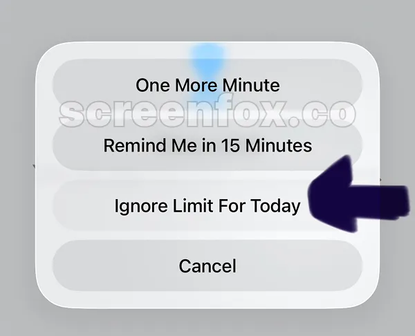 Alert options menu showing One More Minute, Remind Me in 15 Minutes and Ignore Limit