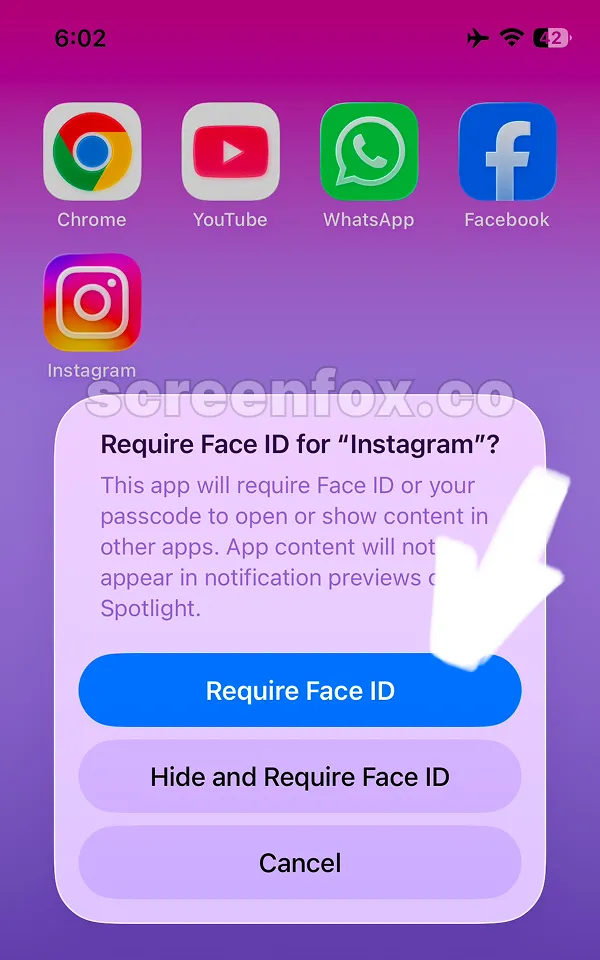 App context menu displaying Require Face ID selection for app locking