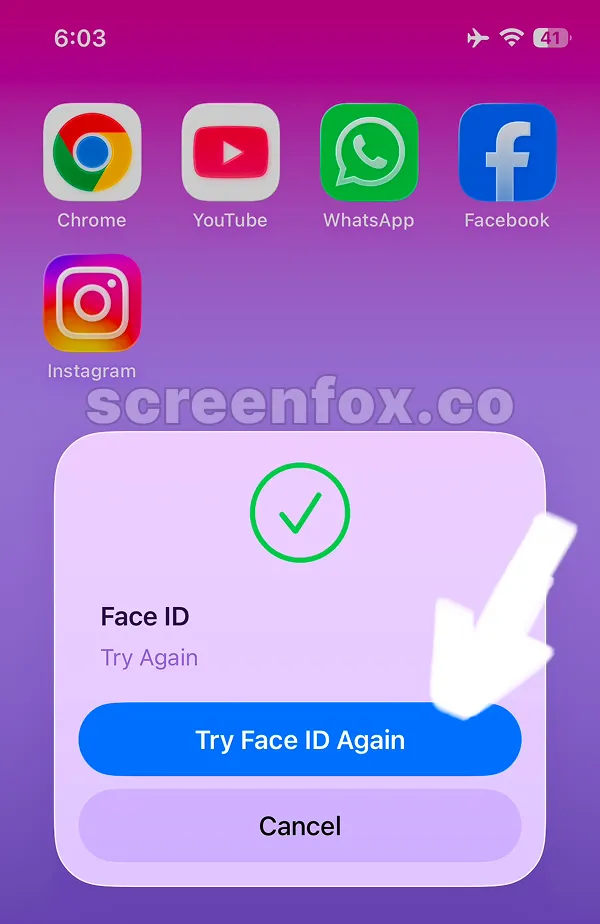 Face ID authentication screen with Try Face ID Again button