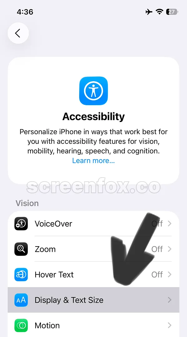 Accessibility settings page with Vision category options displayed