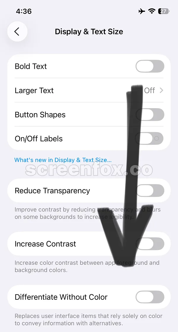 Display and Text Size settings showing accessibility toggle options