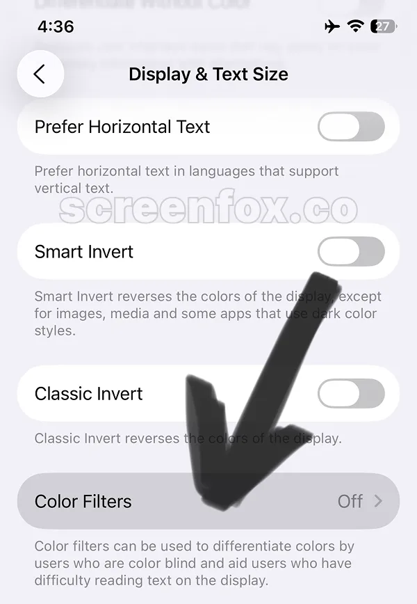 Display settings with Color Filters option highlighted below