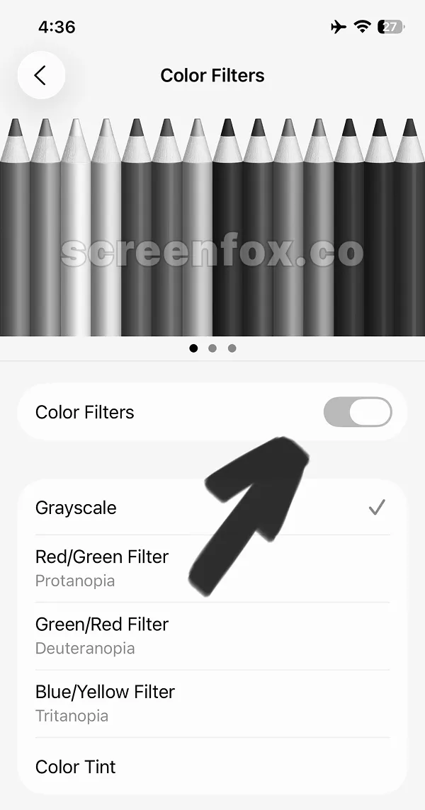 Color Filters with Grayscale selected and marked with checkmark