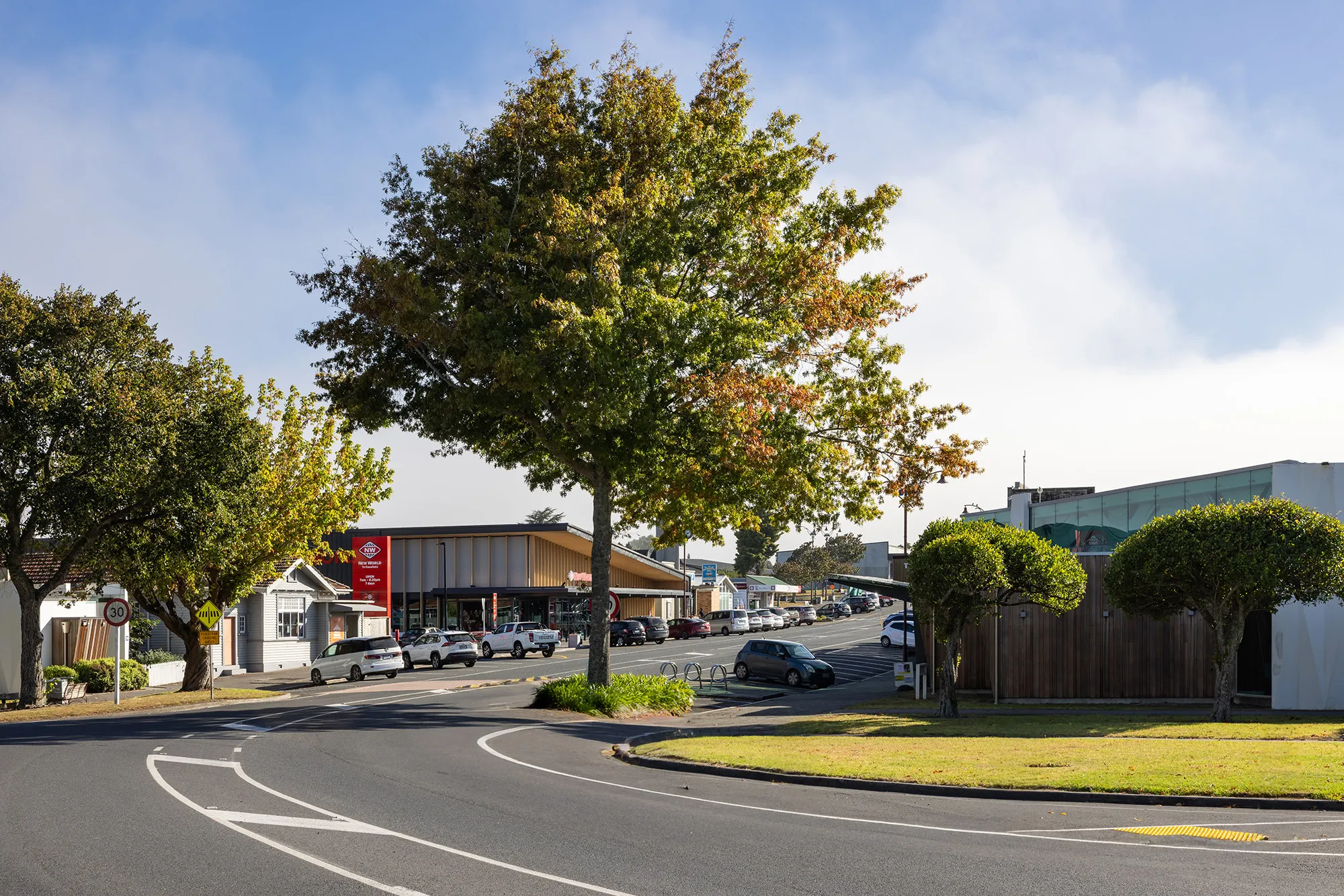 Curved road lined with trees and parked cars leading to a New World supermarket and shops on a sunny day.