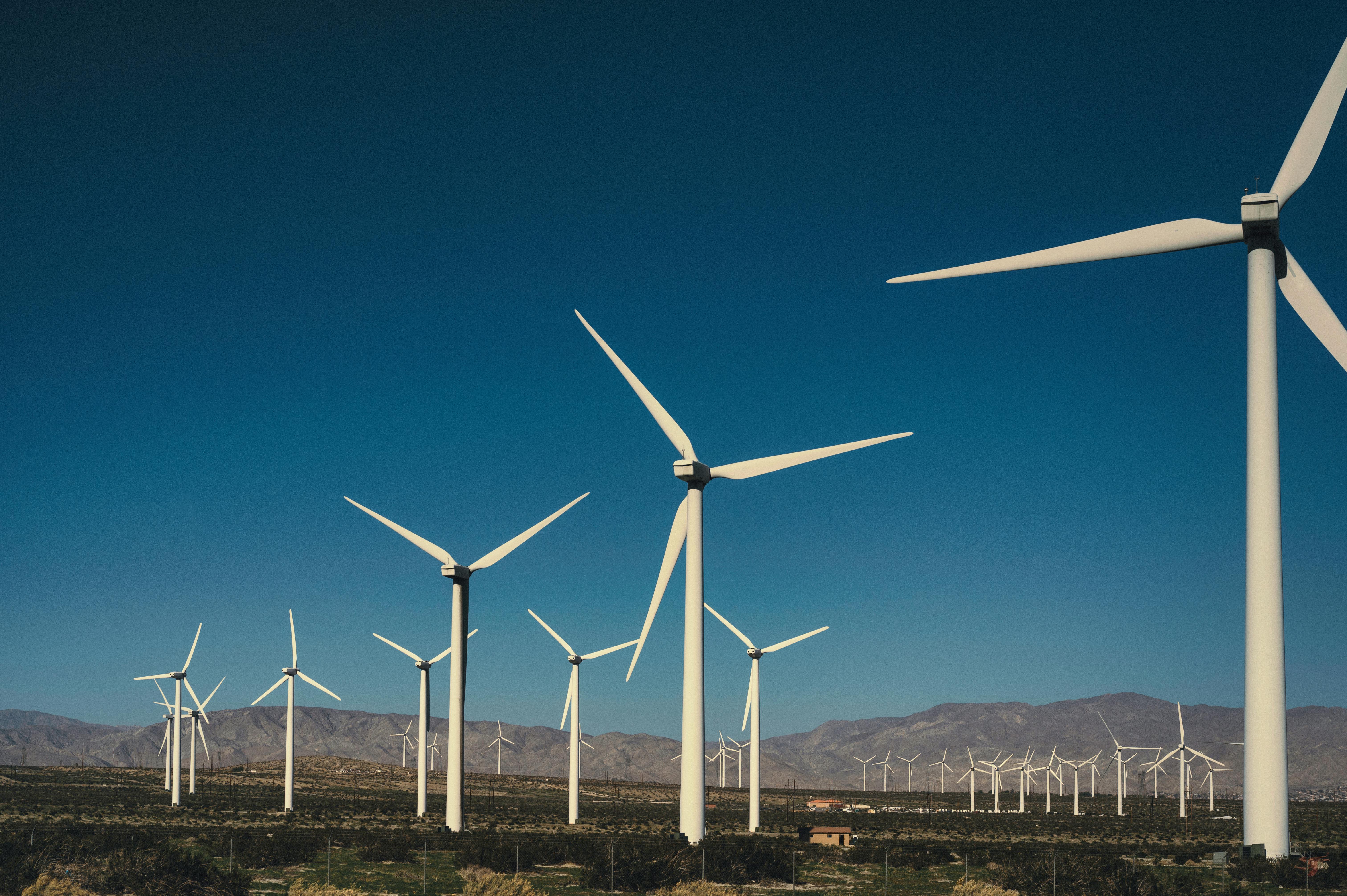 Fidelity Energy's 2024 Sustainability Report highlights significant progress in reducing emissions, supporting communities, and promoting renewable energy, reinforcing their commitment to a greener future.