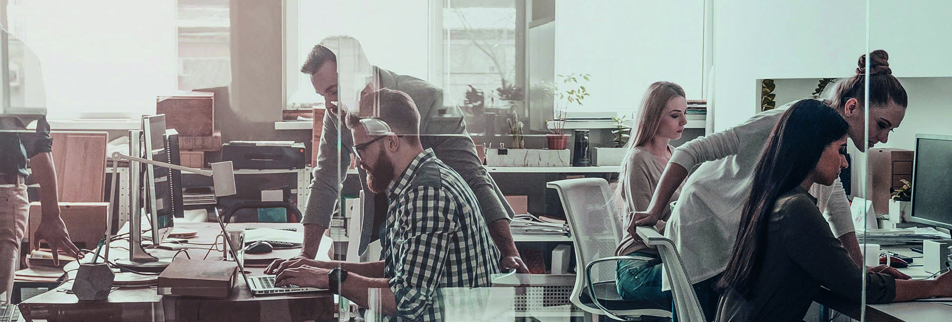 Reduce carbon and save thousands on your business energy costs.