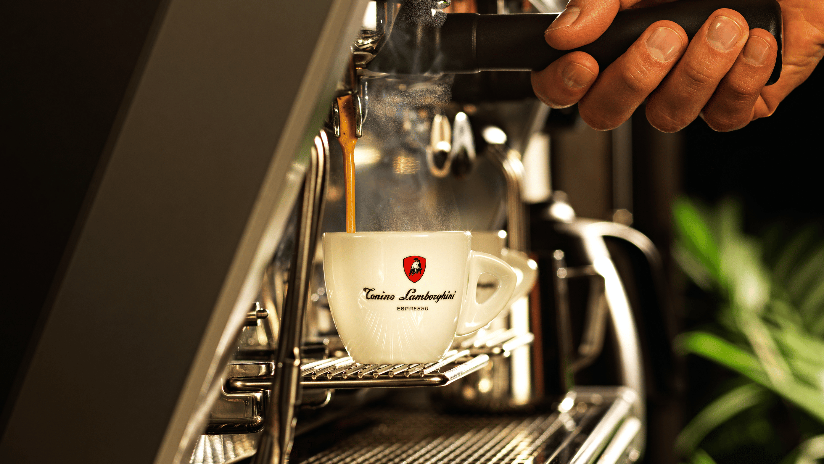 Project Gallery Image