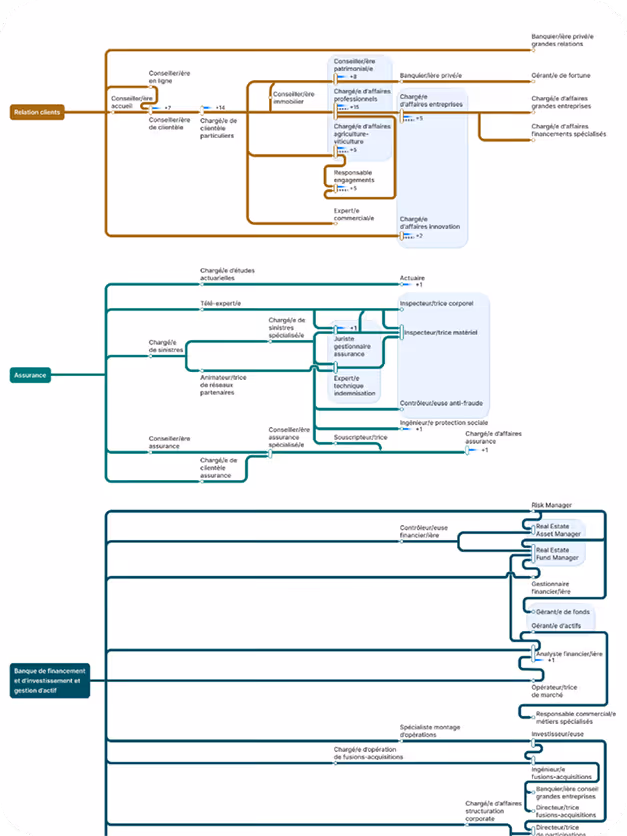 Image of Crédit Mutuel Alliance Fédérale's career map created through Jobsong and visible on their website