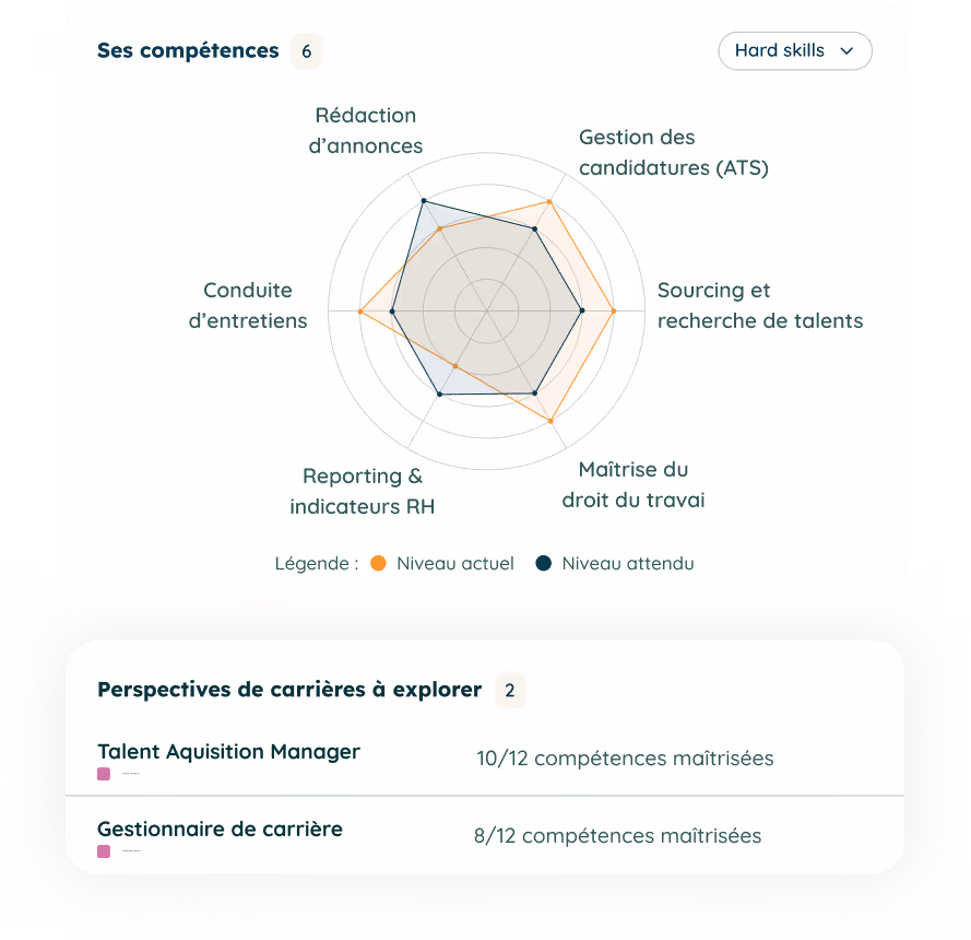 View of the skill gap diagram with the Jobsong app showing gaps between skill levels expected in a job and a profile's effective levels