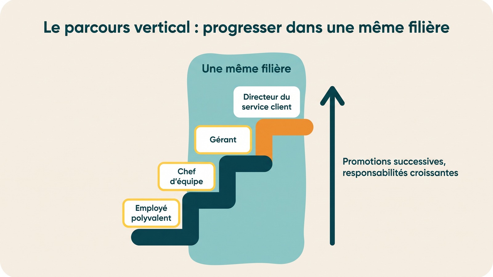 parcours-professionnel-schema-parcours-vertical