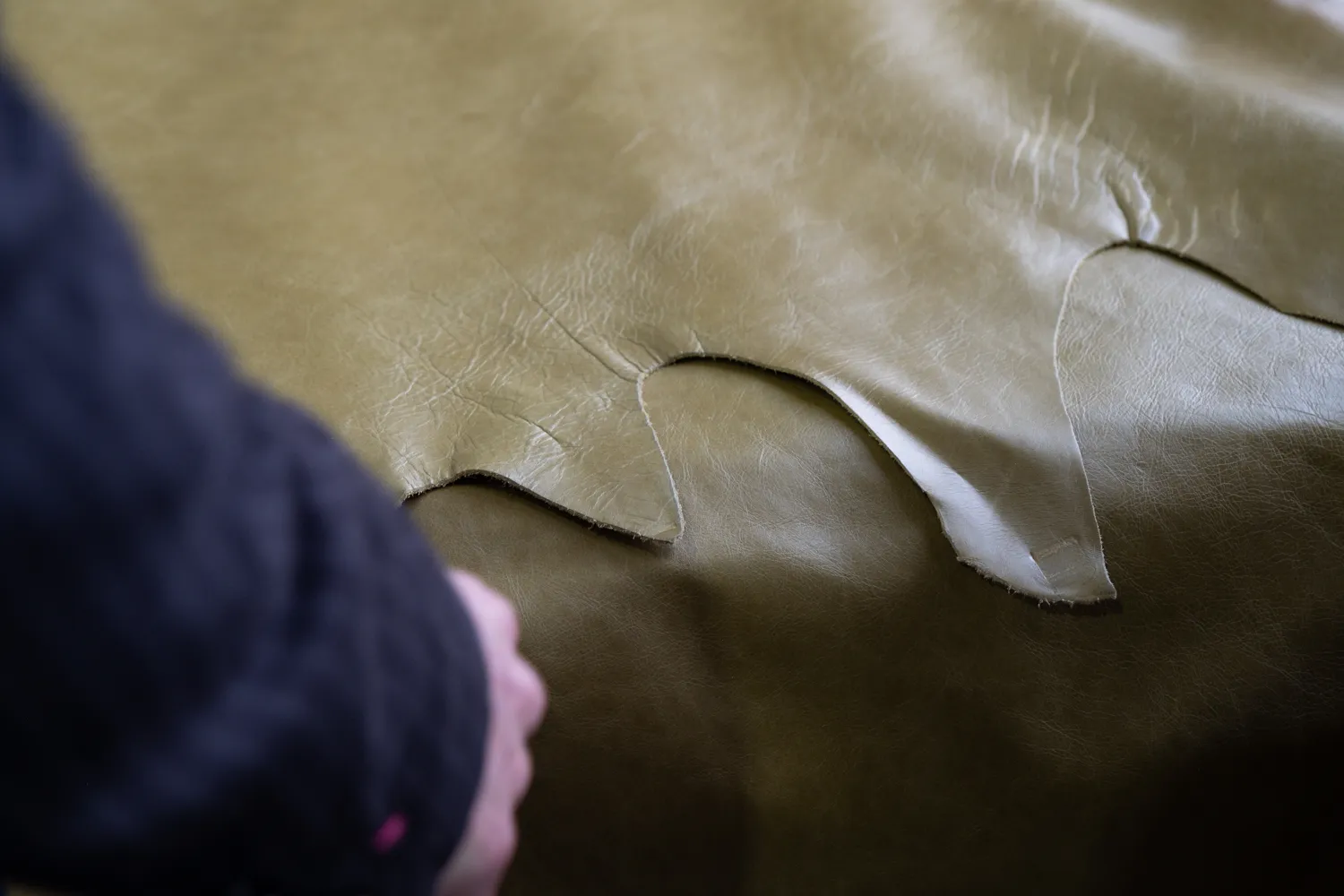 Close-up of a person's hand holding a piece of tan leather hide with irregular edges on a darker leather surface.