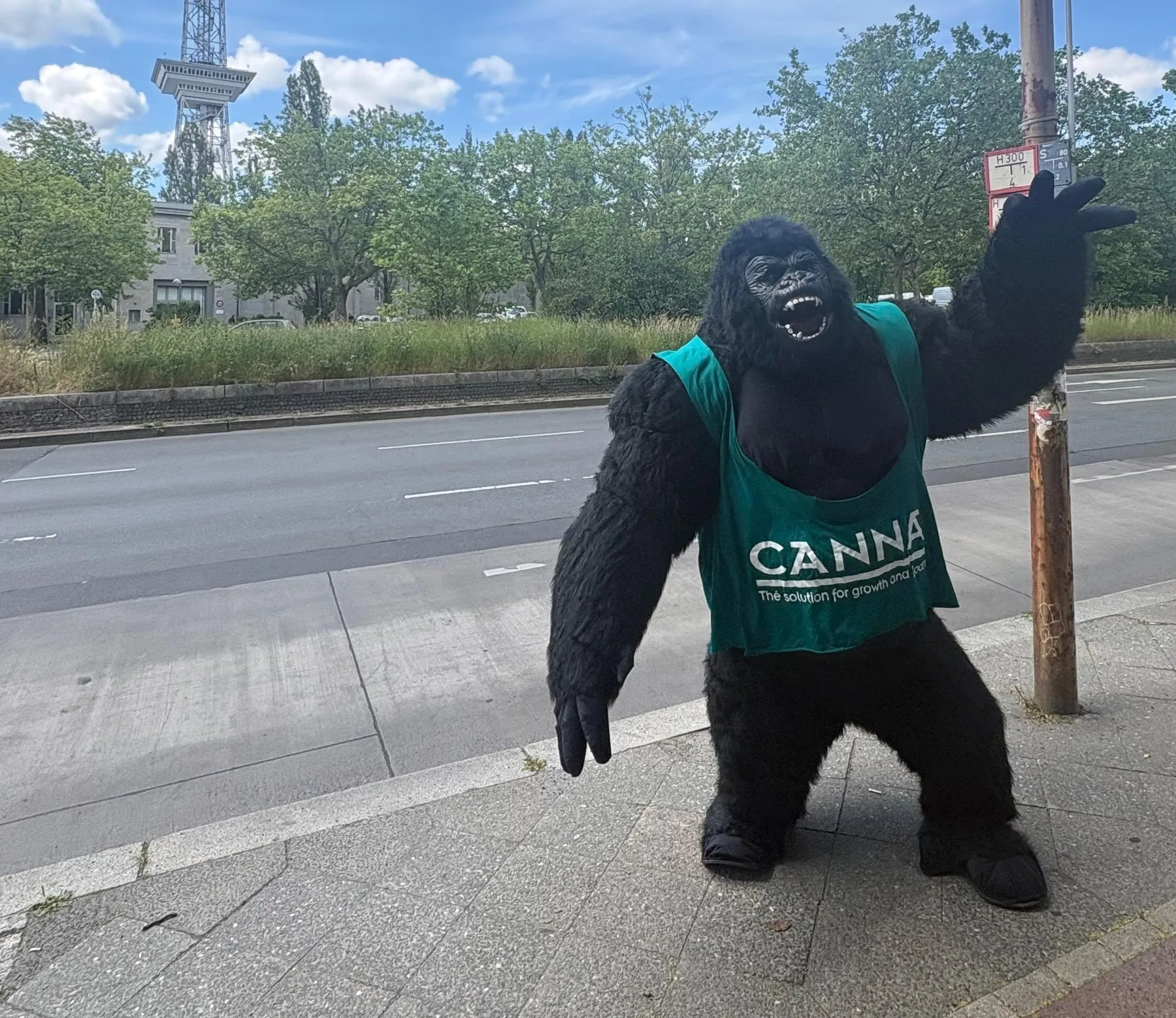 Walking act gorilla for CANNA in front of the Berlin radio tower at Mary Jane Berlin 2026 | eventas