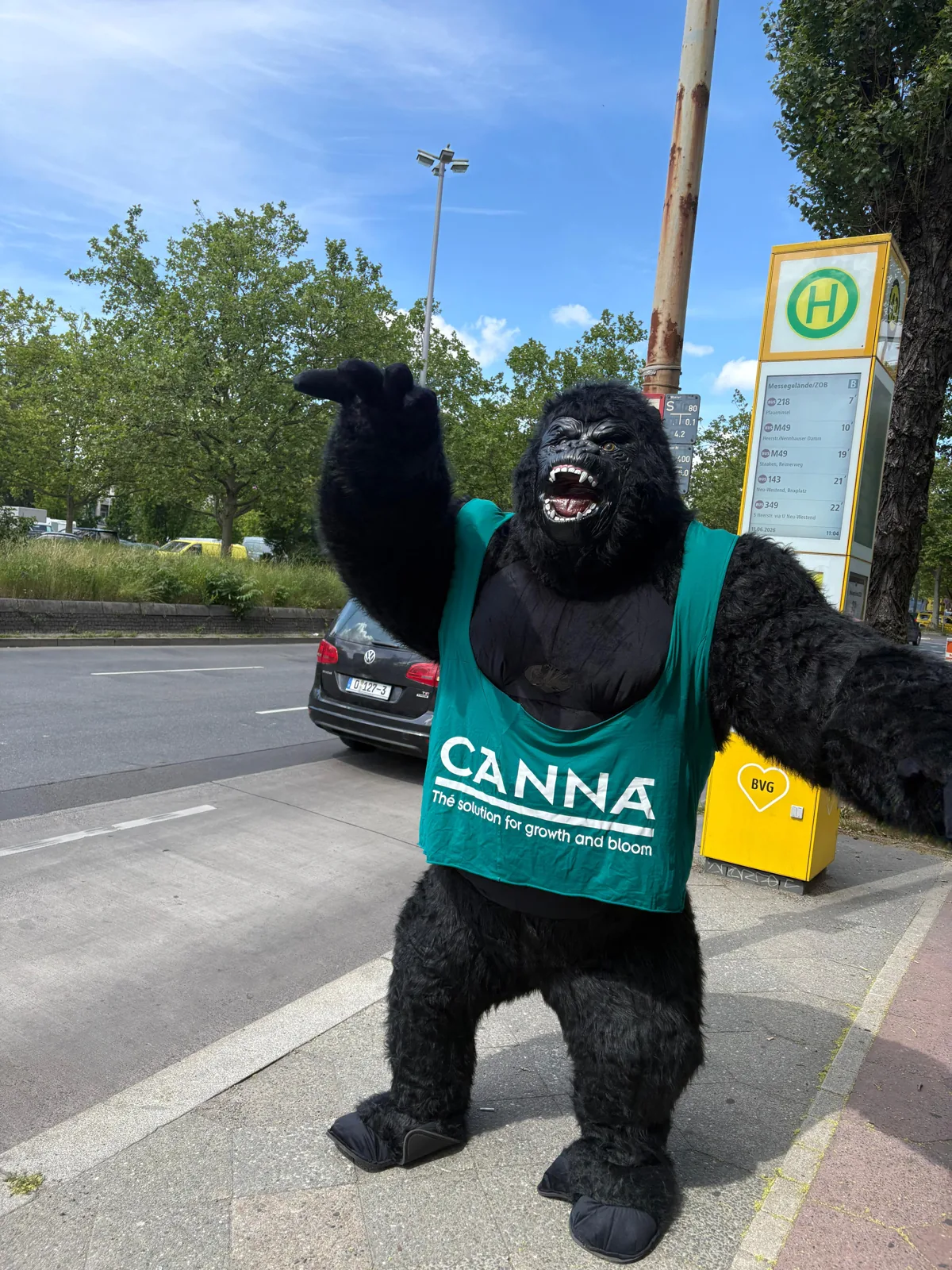 Walking-Act-Gorilla im CANNA-Shirt winkt an der Bushaltestelle Messegelände in Berlin