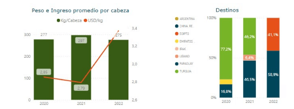exportación de ganado en pie Uuruguay