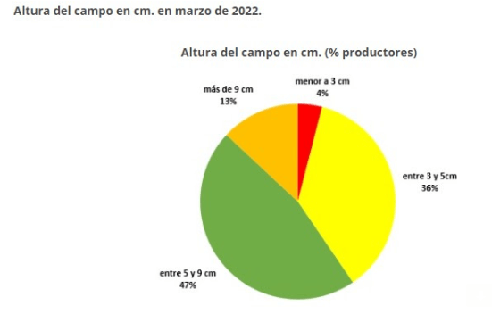 altura del pasto campo uruguayo
