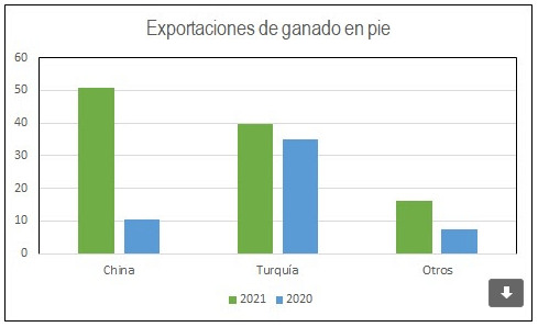 Exportación en pie Uruguay