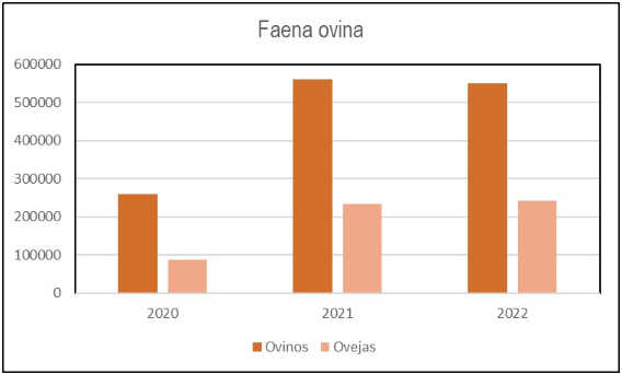 Faena ovina uruguay