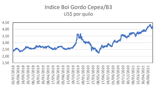 pie en el acelerador 4