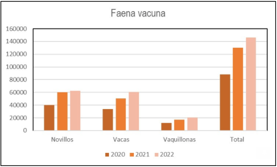 Faena de vacunos comparativa enero Uruguay