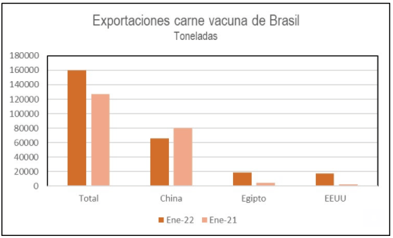 exportaciones de carne vacuna por destino