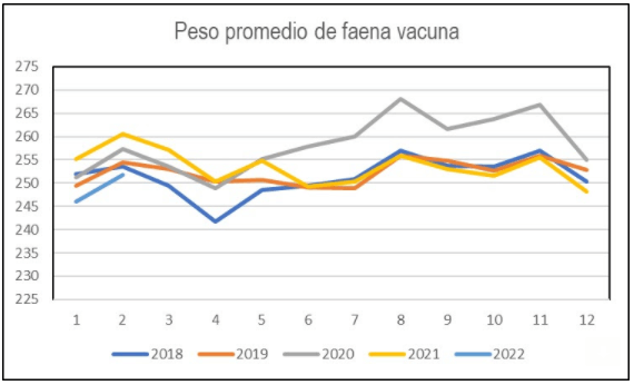 Peso promedio de faena Uruguay 2022