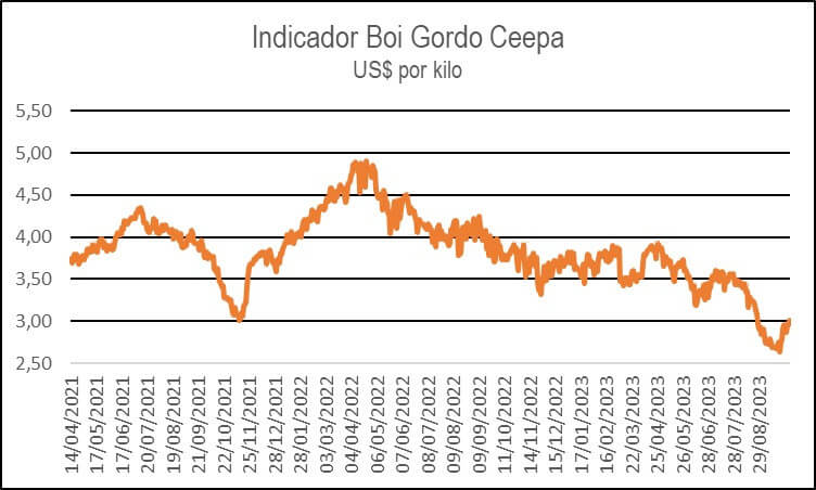 Los miramos de atrás