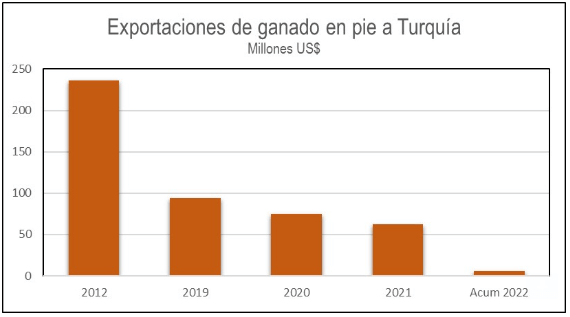 Exportacion en pie a turquia