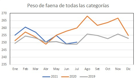 La carne y la falta de contenedores, ¿hacia donde vamos?