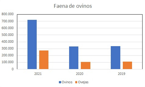 Ovinos uruguay