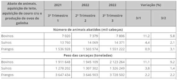 crecimiento de brasil