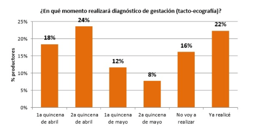 ganado y rodeo de cria