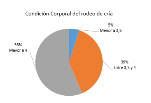 rodeo de cria