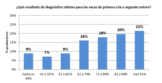 ganados gordos