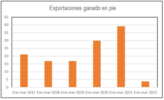 exportacion en pie uruguay