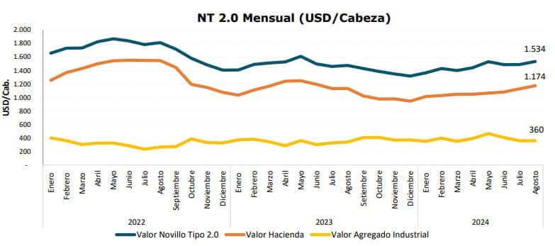 El más alto en un año