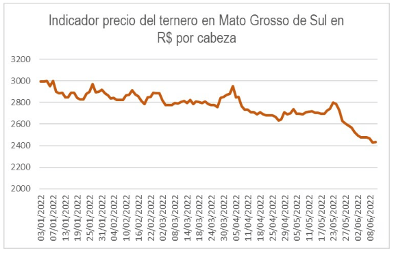 evoluciuon del ternero en brasil