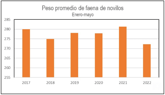 peso promedio de faena