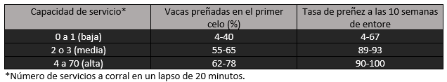 Capacidad de servicio de toros