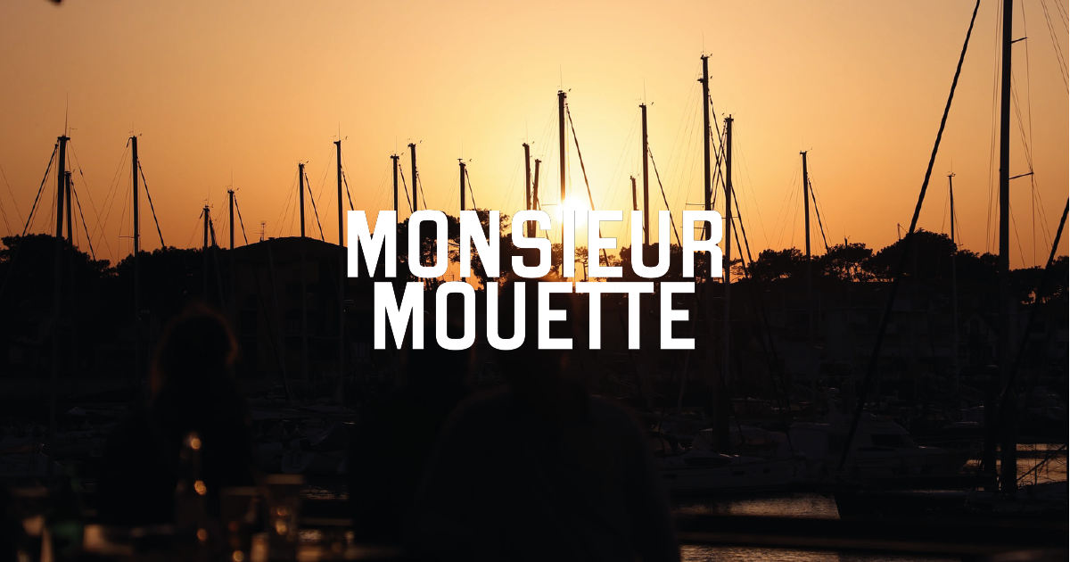Monsieur Mouette à Capbreton