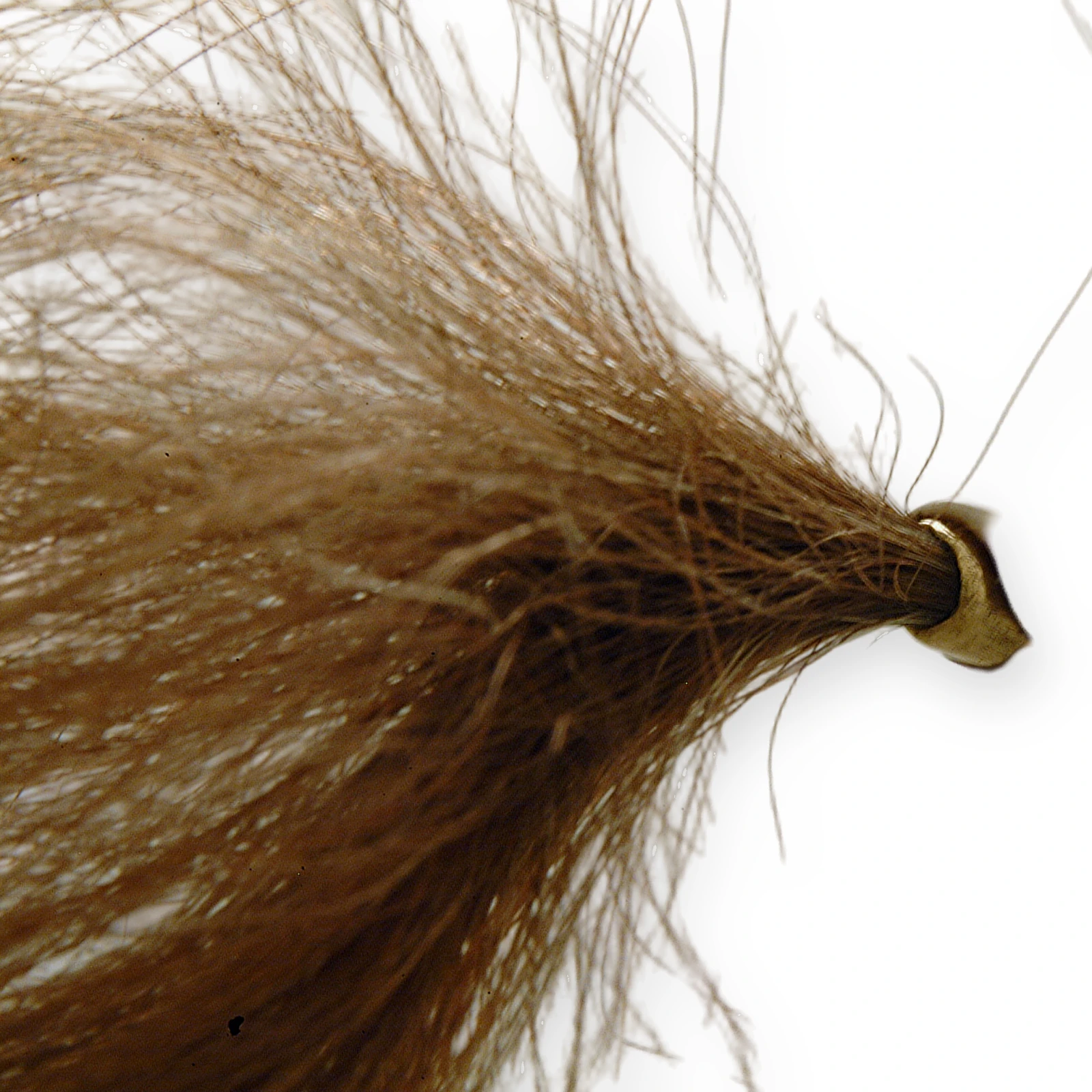 Archaisch Pferd – Detail 1