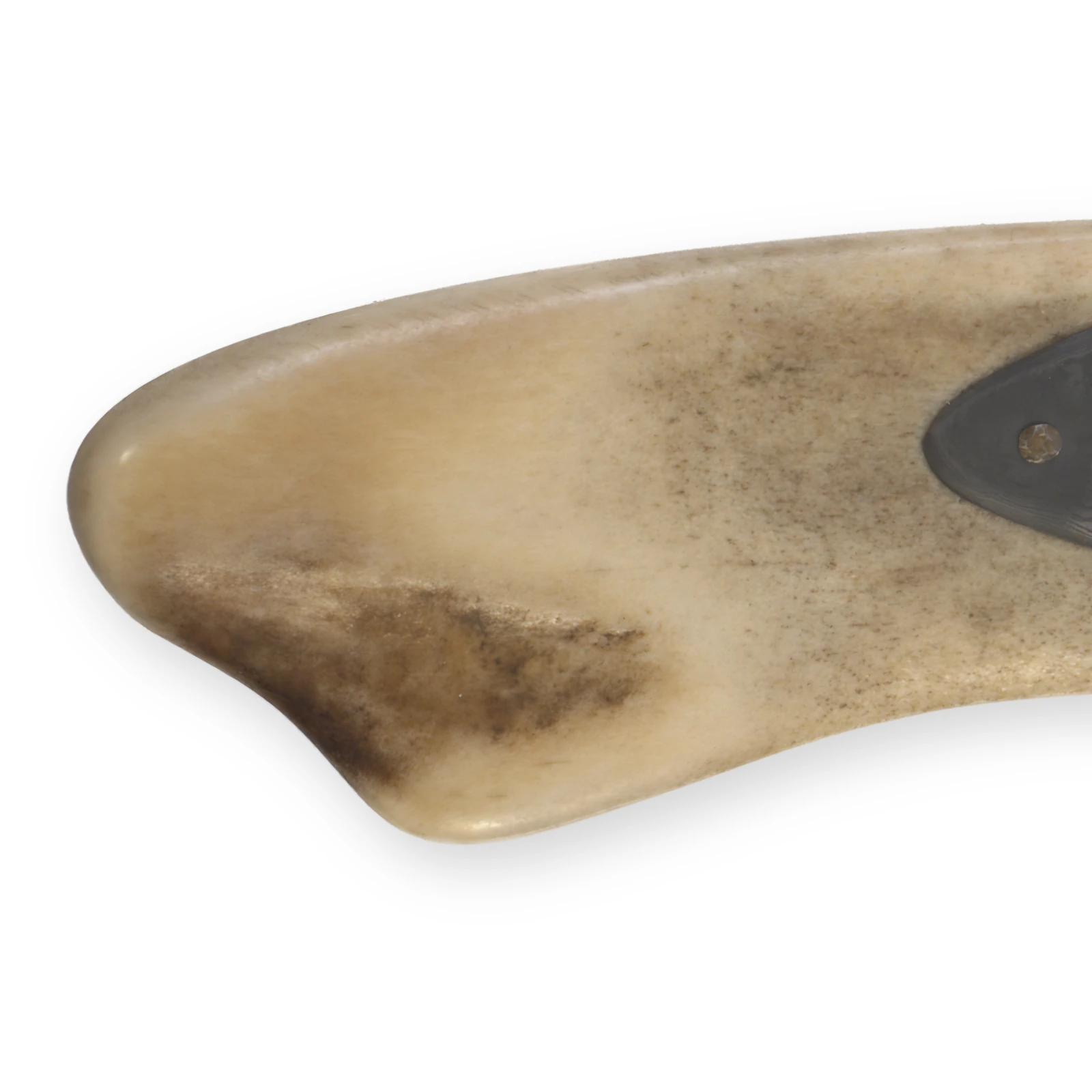 E-Knife Rentiergeweih – Detail 1