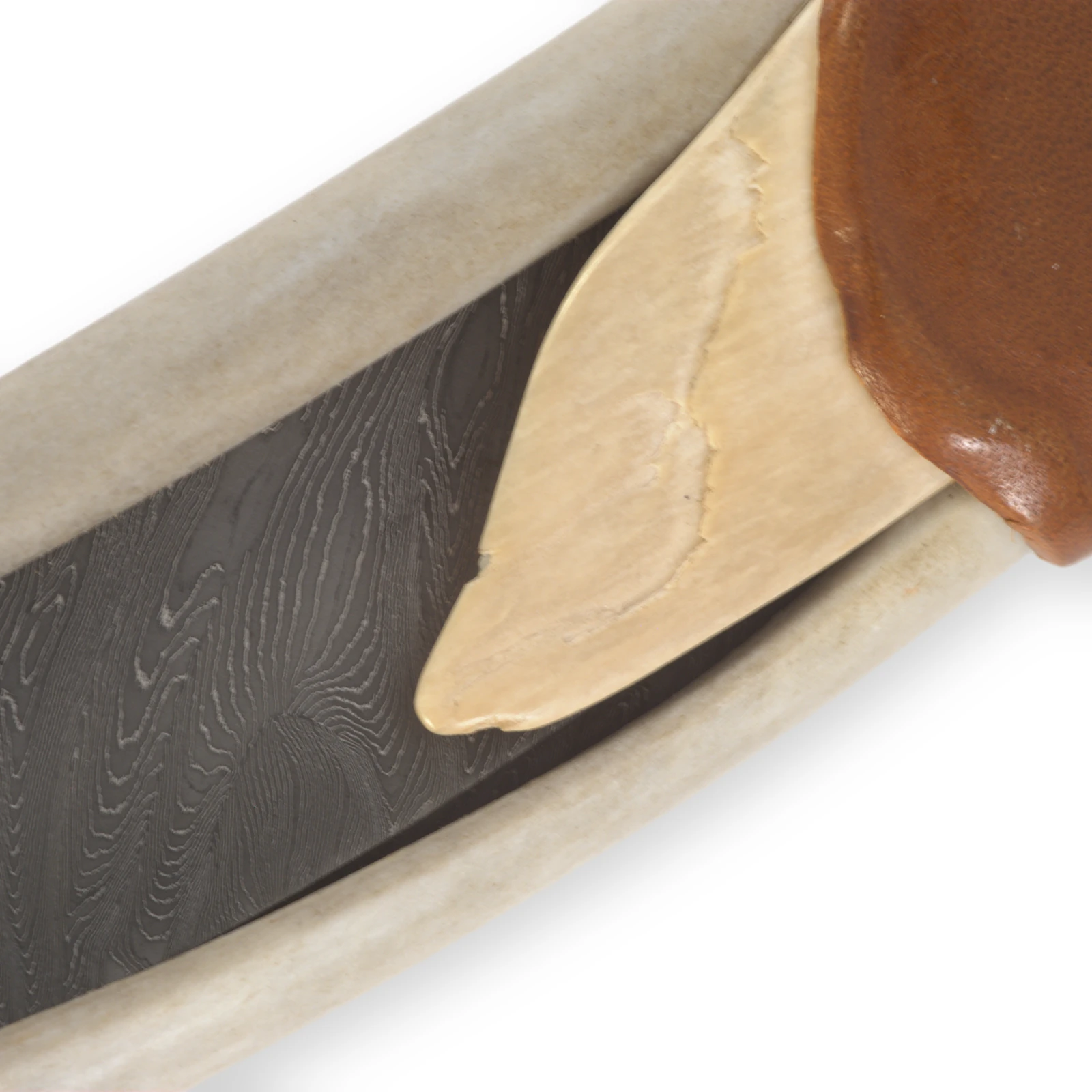 Goldklammer – Detail 1