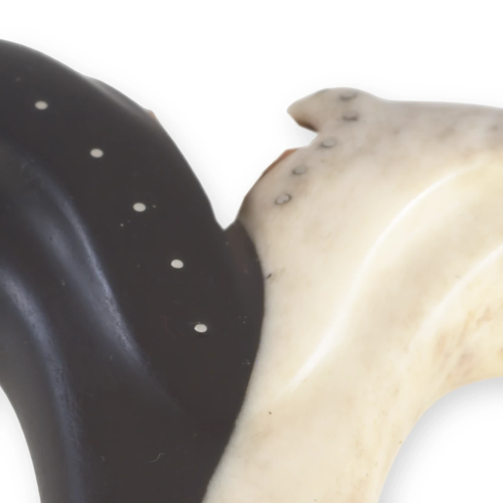 Thor – Detail 1