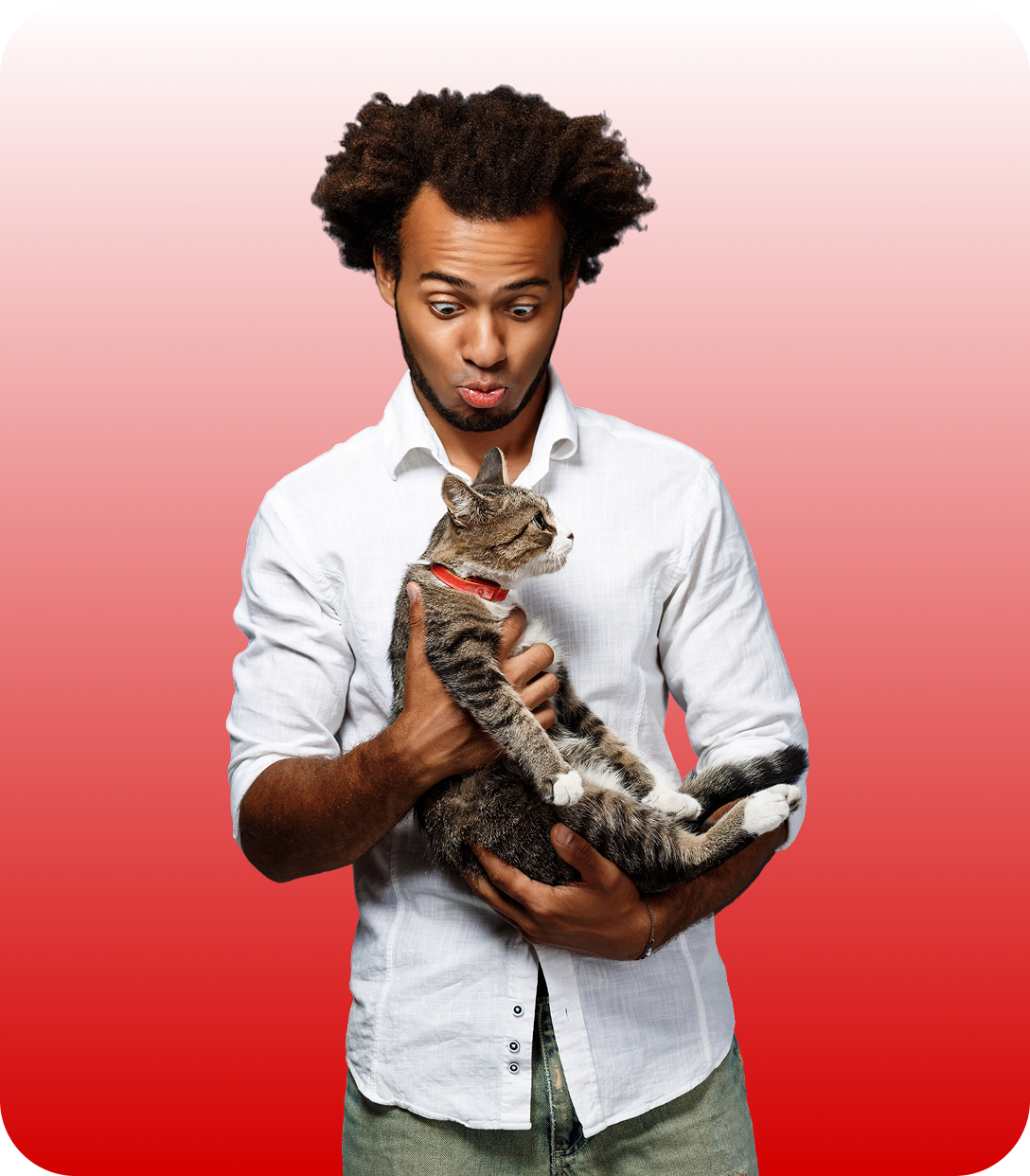 Man wearing white shirt holding a tabby cat with a red collar against a red gradient background.