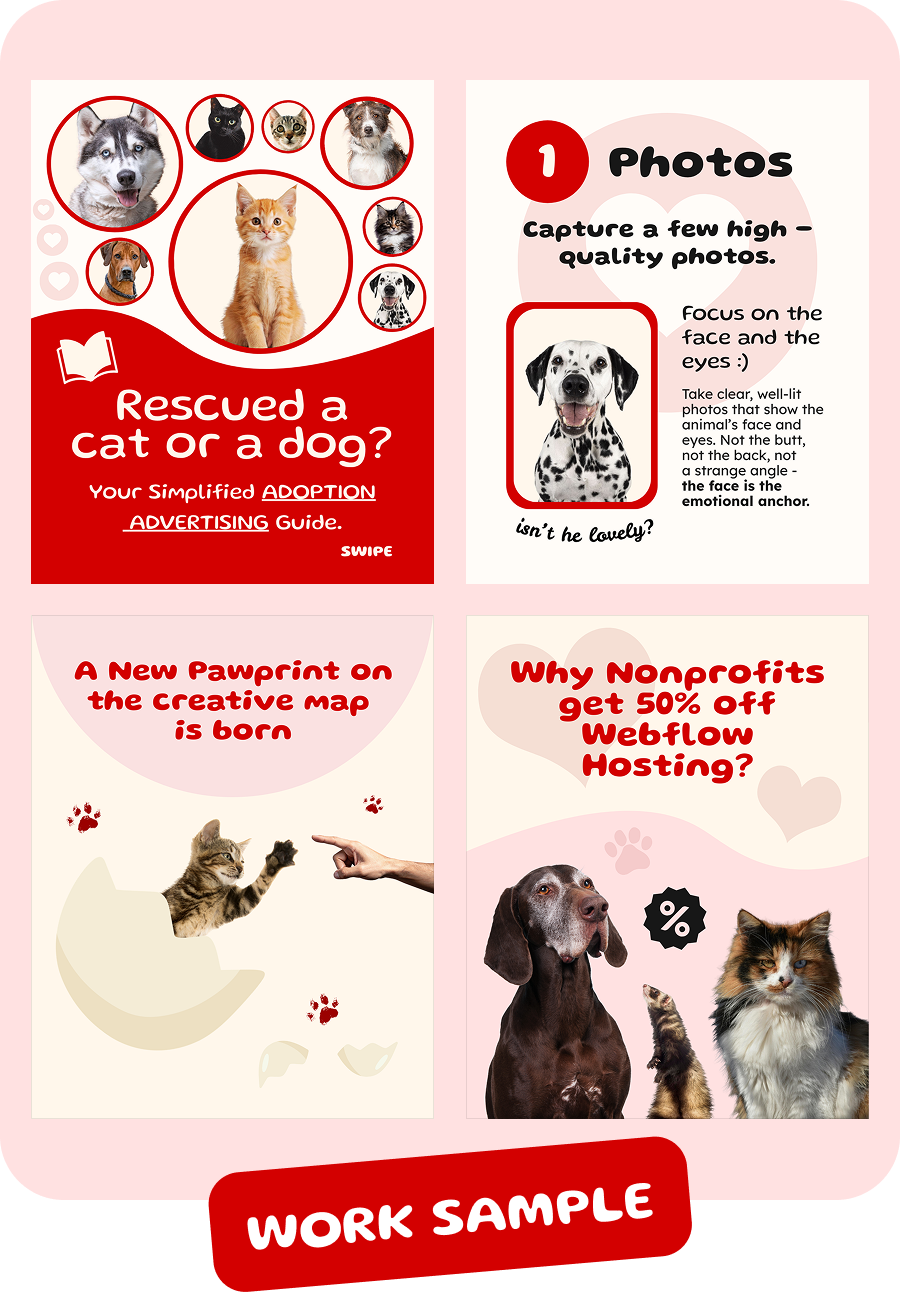 Collage of animals and adoption tips including cats, dogs, photos, and nonprofit hosting discount info.