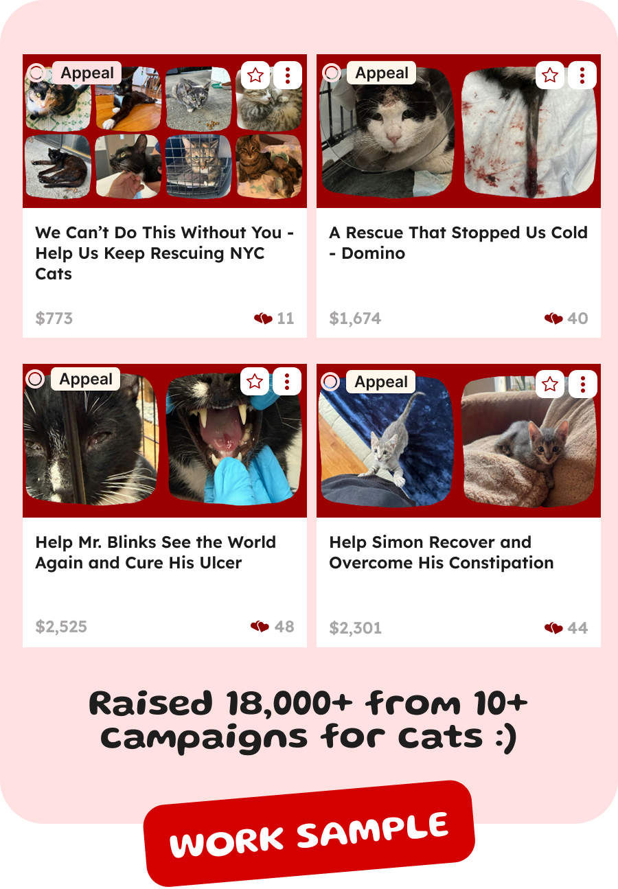 Four cat rescue fundraising campaigns showing cats needing help and amounts raised.